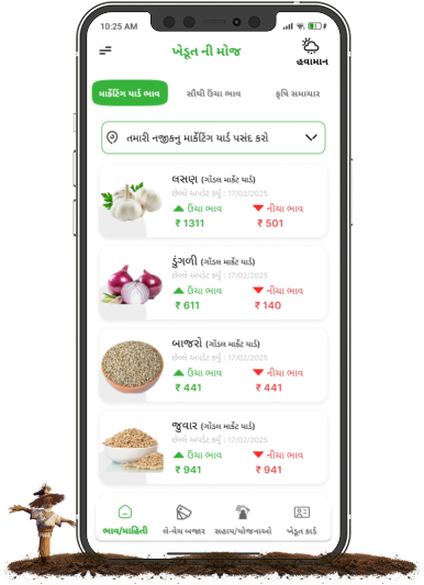 Gujarat market yard bhav