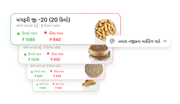 Gujarat market yard bhav
