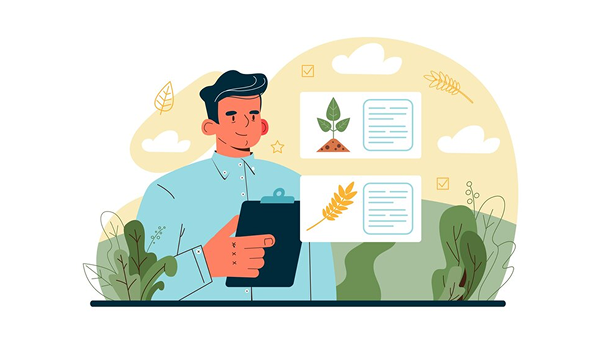 Gujarat market yard bhav