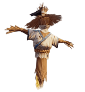 Gujarat market yard bhav